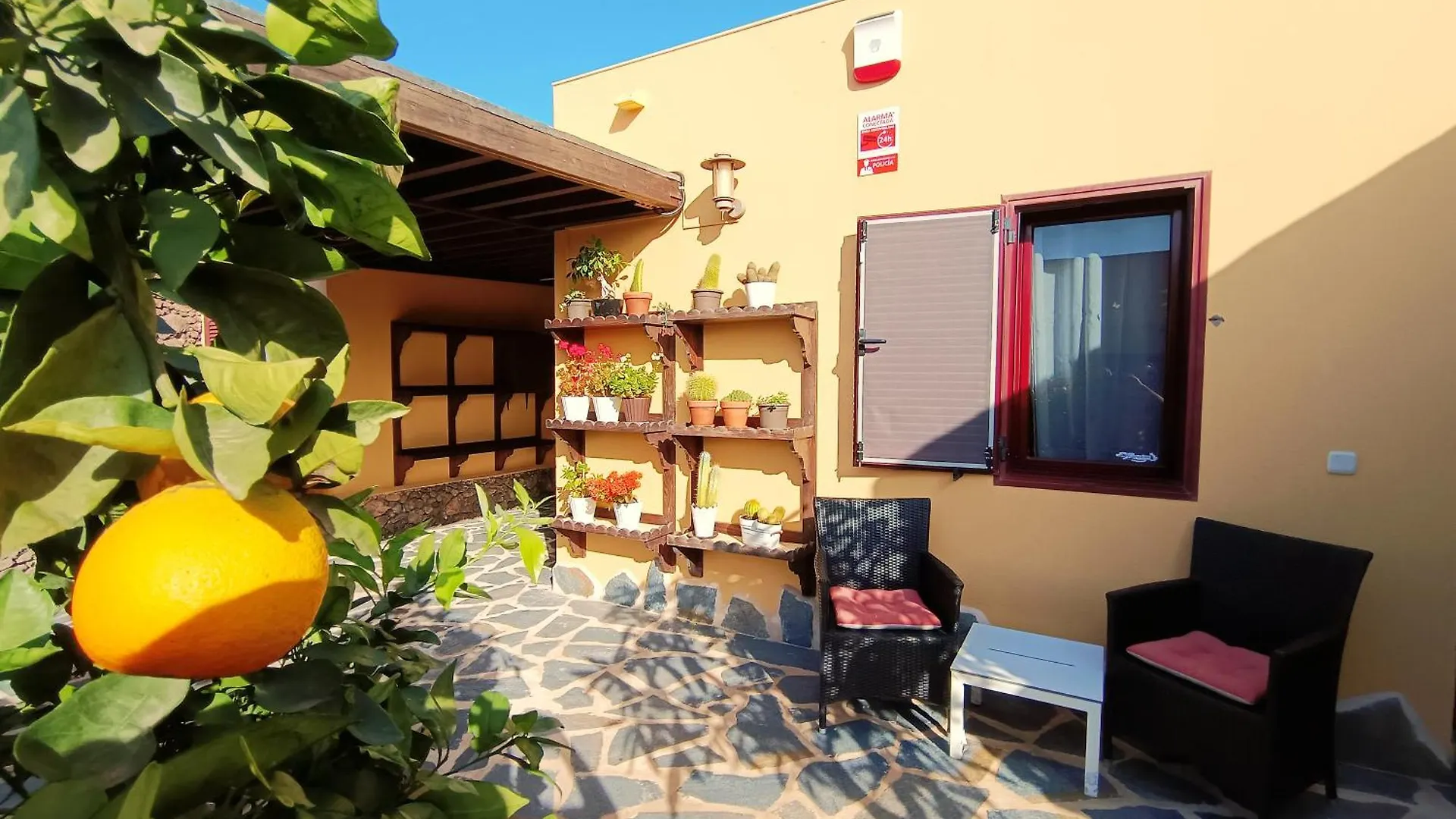 Villa Enola La Oliva